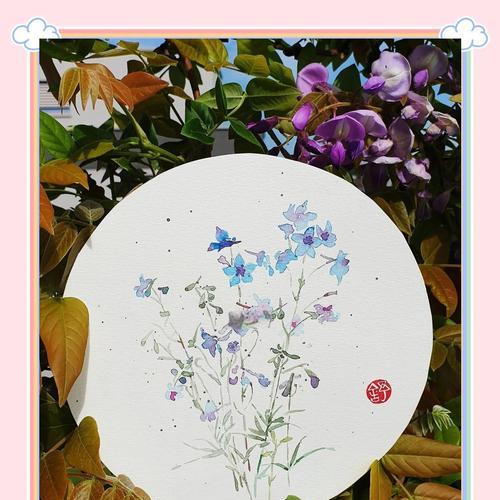 哪种花象征自由又浪漫？象征自由和浪漫的花有哪些？