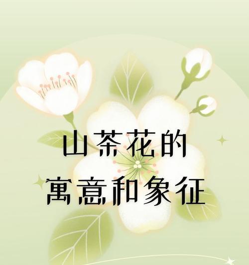 哪些花寓意深刻的爱情？它们的含义是什么？