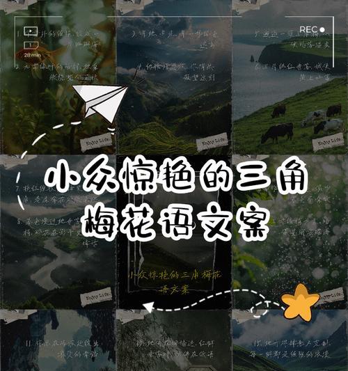 绯色花的花语有哪些？