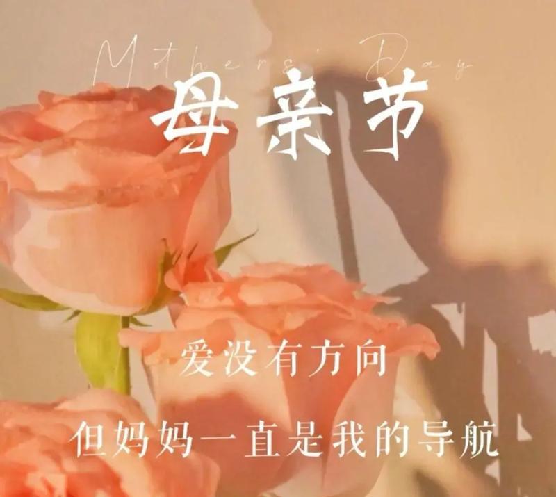 母亲节送活玫瑰花有何寓意？如何表达对母亲的爱？