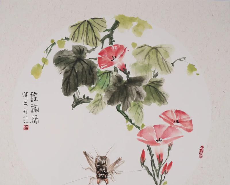 牵牛花的传说寓意是什么？牵牛花背后的故事有哪些？