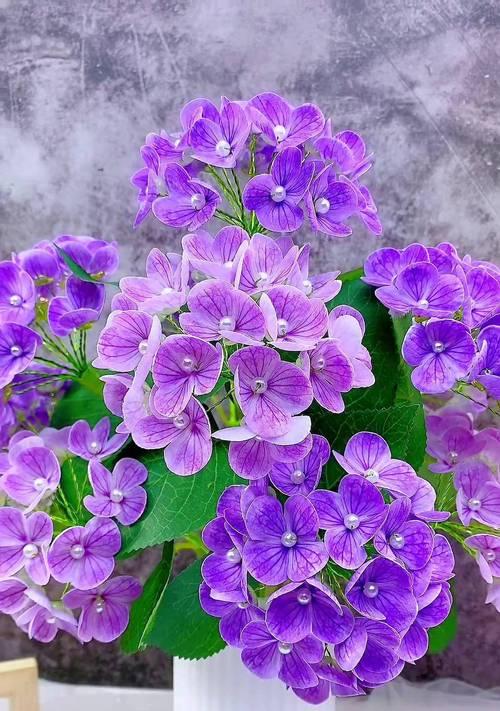 哪种花象征团圆美好幸福？花的团圆寓意是什么？
