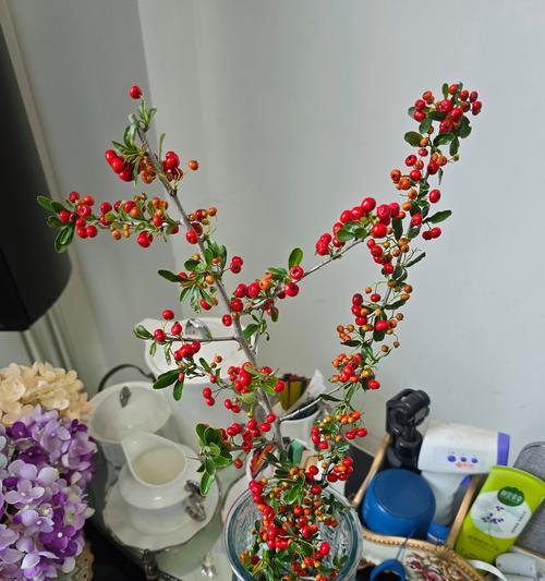 中秋节送什么花寓意好？水果花在中秋节的意义是什么？