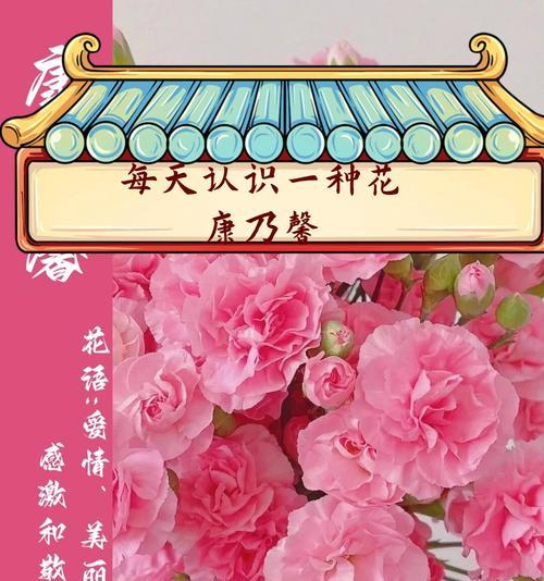 粉色花象征什么？粉色花寓意爱情吗？