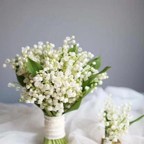 铃花手捧花有什么特别的含义？它们象征了什么？