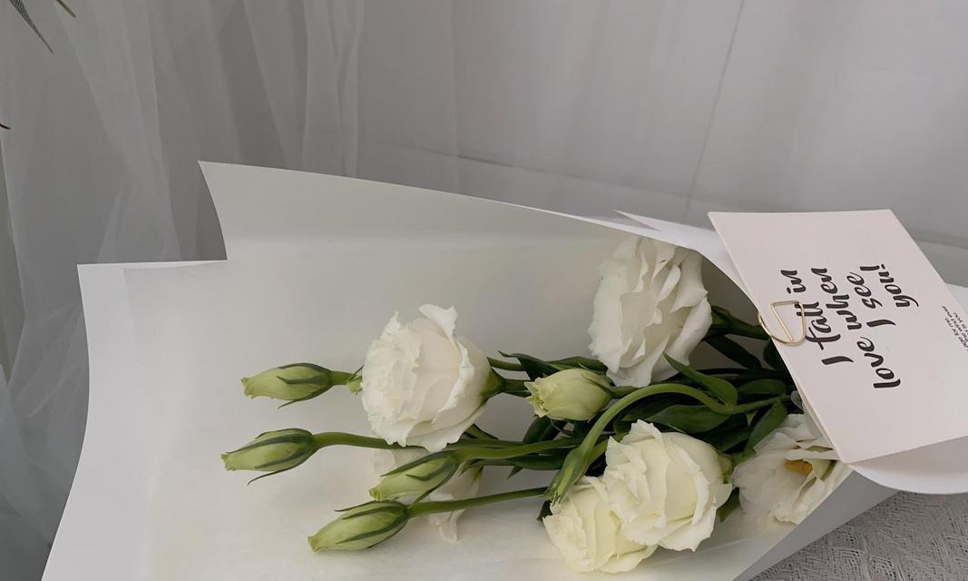 白色洋藉口花的花语是什么？