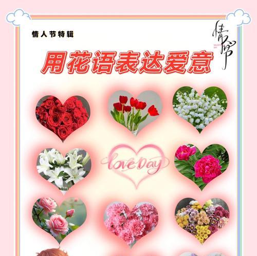 十一节日的花语有哪些？