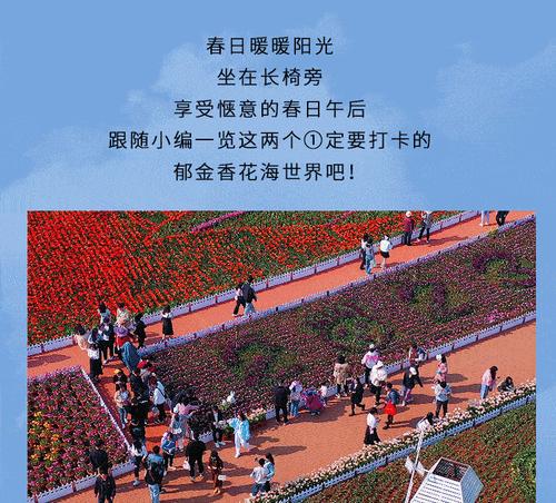 八节奇花四进果含义是什么？它象征着什么？