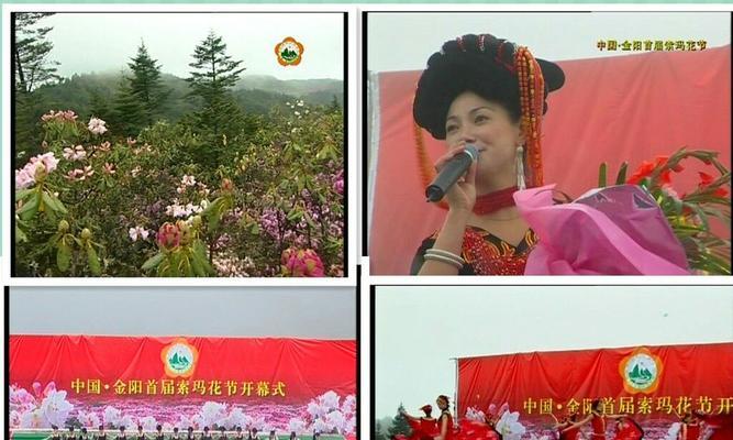 八节奇花四进果含义是什么？它象征着什么？