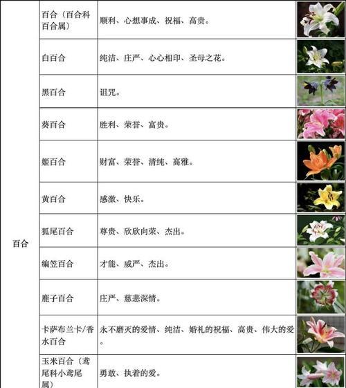 系色花语是什么？各种颜色的花语分别代表什么？