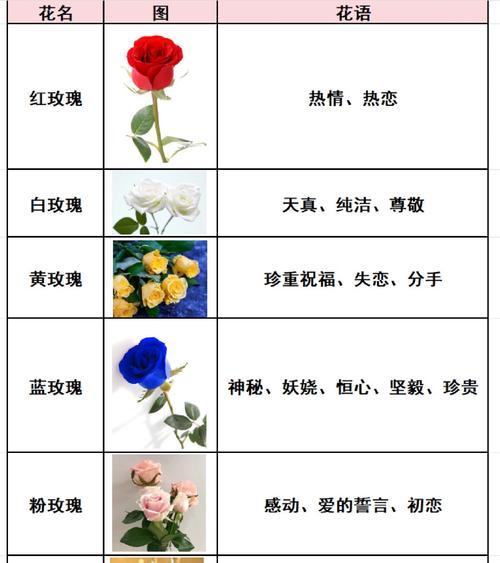 系色花语是什么？各种颜色的花语分别代表什么？