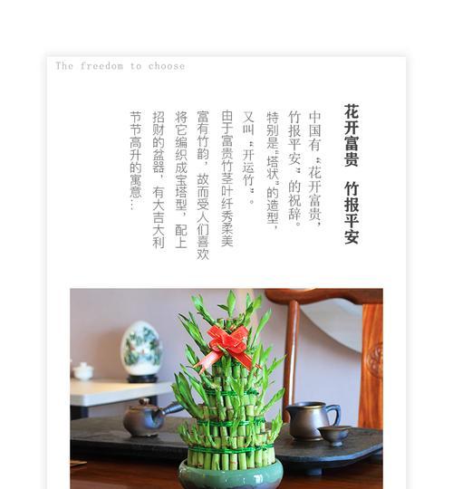 三朵竹节花代表什么意义？