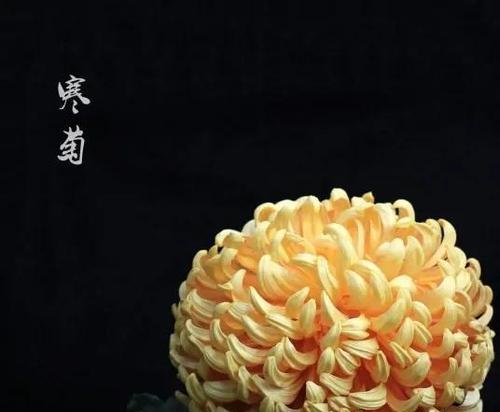 送别时应该说什么花语？祝福花语有哪些？