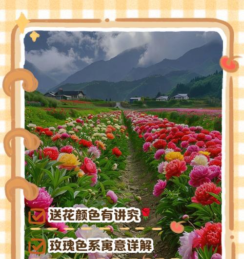哪种颜色的花寓意朋友？