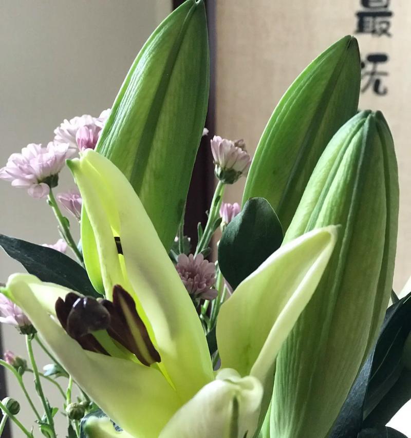 一朵吉祥金百合花的寓意是什么？