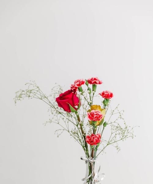 哪些花寓意祝福且外观好看？好看花卉的祝福寓意有哪些？