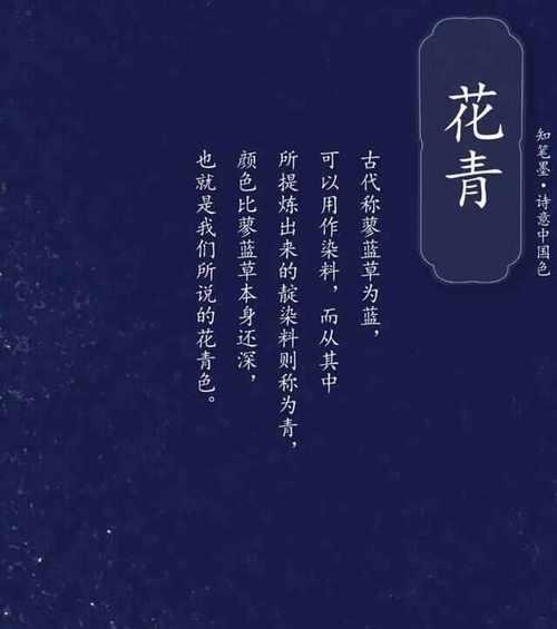 十二色花各自代表什么？它们的寓意有哪些？