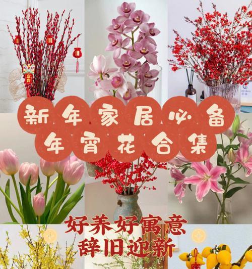 春节花语有哪些诗句？春节花语诗句是什么？
