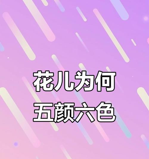 三支彩色花代表什么？每种颜色的花有何象征意义？