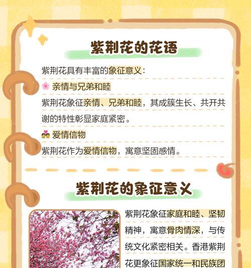 三支彩色花代表什么？每种颜色的花有何象征意义？