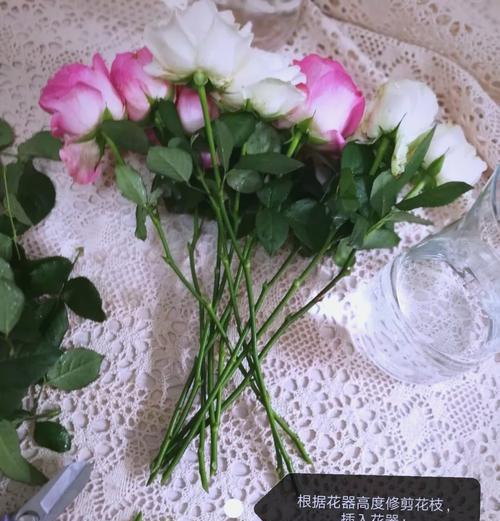 同色系玫瑰花瓶有何寓意？玫瑰花瓶的象征意义是什么？