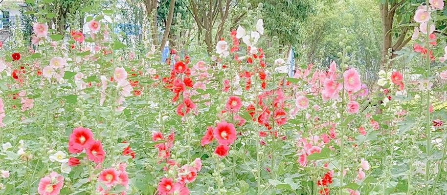 端午节的拼接花象征着什么？