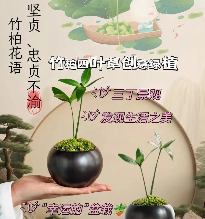 四叶草象征什么？寓意平安健康吗？