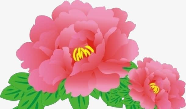 粉色配色通常与哪种花的寓意相关？