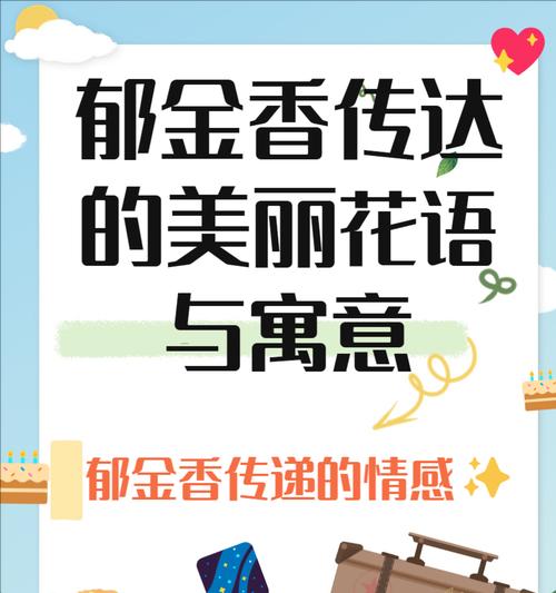 2024年有哪些浪漫花语？如何用花表达新年的浪漫？