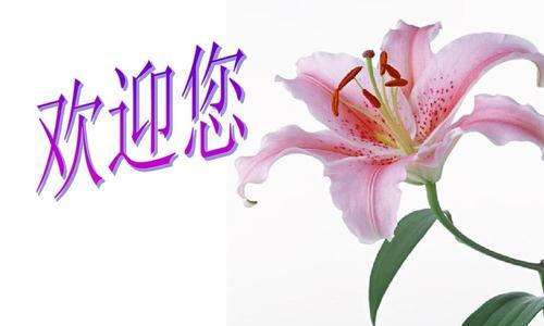成功的花有哪些？成功的花的寓意是什么？