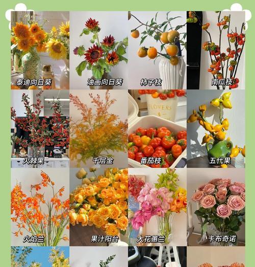 蓝色花魁代表什么？