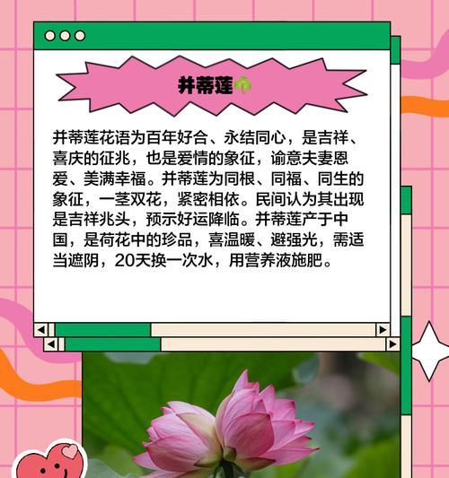 哪些花常被用作爱情的象征配饰？它们的花语是什么？
