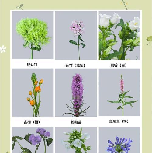 哪些草花寓意着繁荣和幸福？