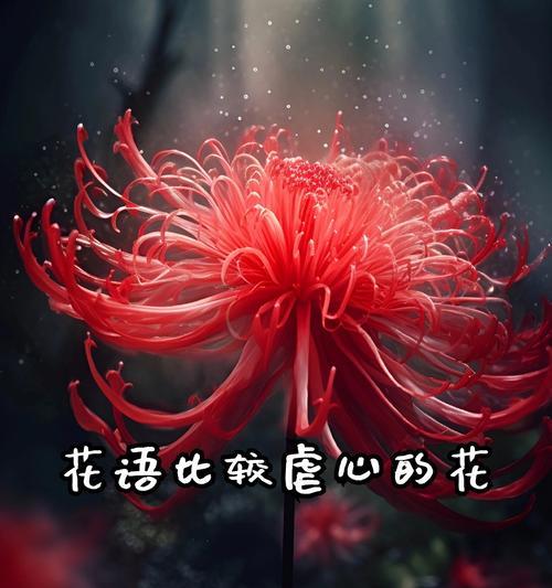 节杆的花语是什么？节杆花的寓意有哪些？