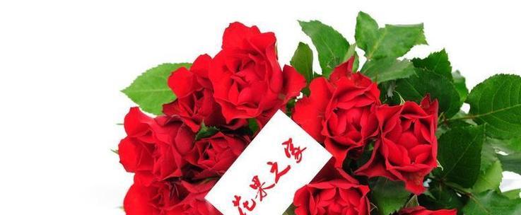 象征魔法和爱情的花有哪些？它们的花语是什么？