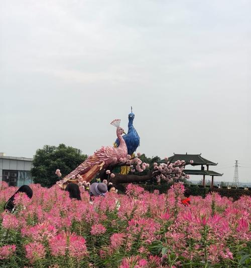重阳节赏花有何特殊含义？百花谷赏花的寓意是什么？