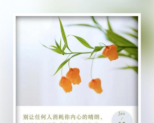 花的含义浪漫语句摘抄大全有哪些？
