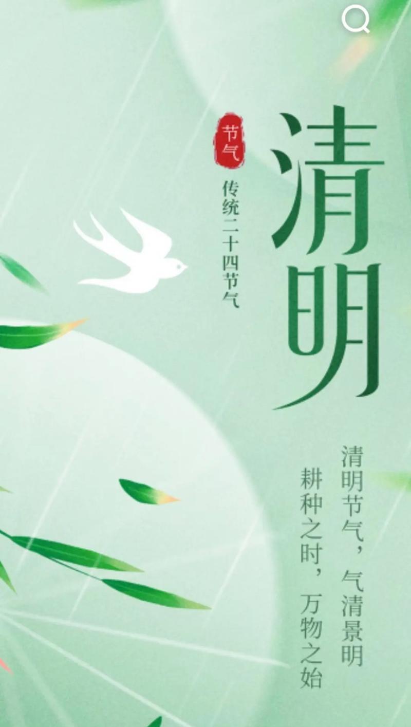 清明节送一朵花代表什么？它的象征意义是什么？