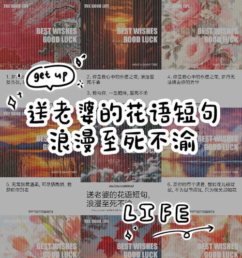 哪种花寓意对爱情至死不渝？这些花的花语是什么？
