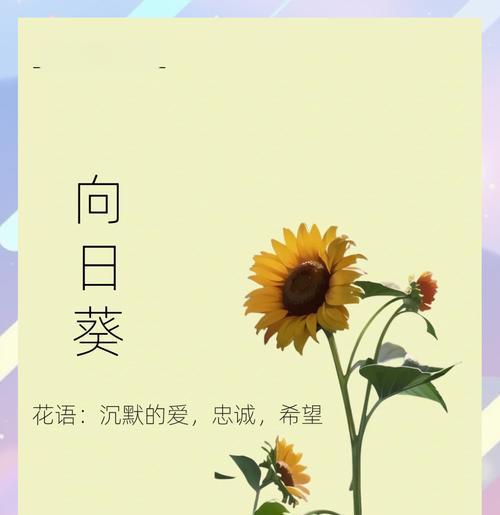 哪种花最富有神话意义？神话中的花语有哪些？