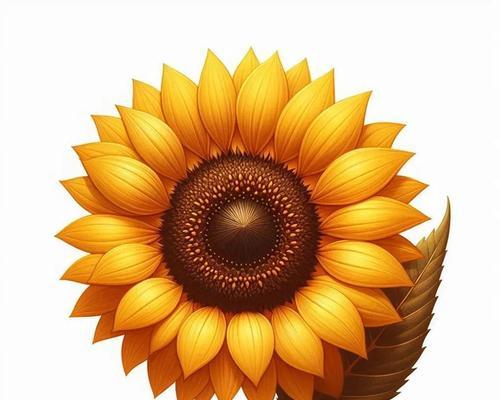 黄色花卉的寓意是什么？黄色花有哪些特别含义？