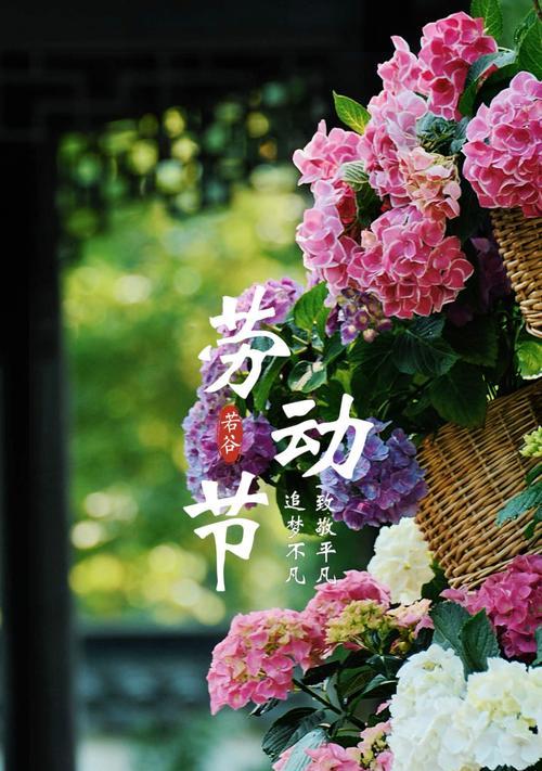 五一劳动节象征花是什么？五一节送什么花最合适？