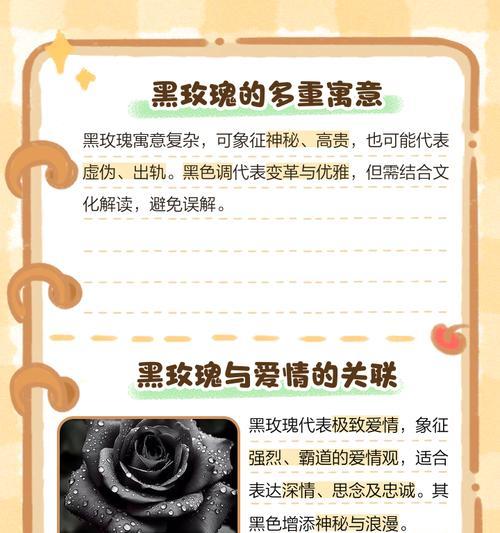 红色和黑色的花各自有什么寓意？它们在花语中代表什么？