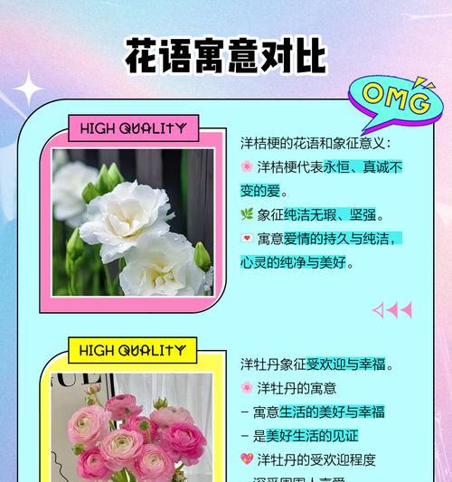 复色玫瑰花的寓意是什么？它的花语有哪些特别之处？