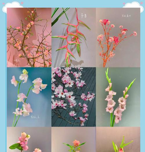 七色百花各自代表什么花语？