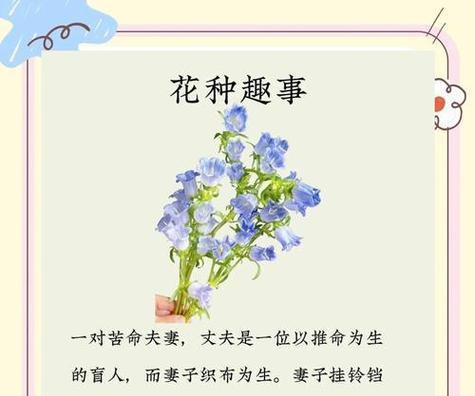 哪种花象征关爱与健康？如何用它来传递关怀？