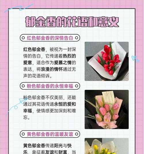 哪种花象征关爱与健康？如何用它来传递关怀？
