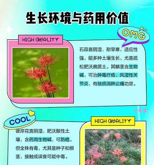 彼岸花颜色不同寓意有何区别？彼岸花颜色代表什么？