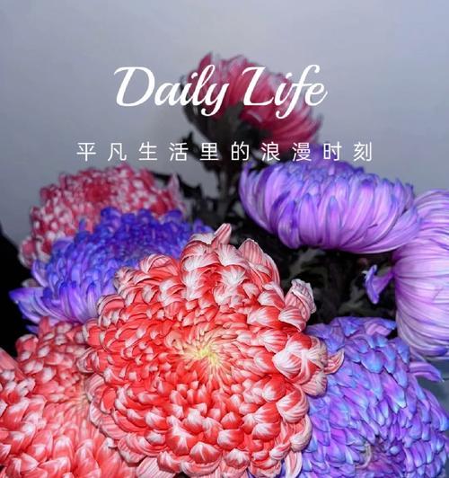 富贵花与马亲王的花语有何不同？