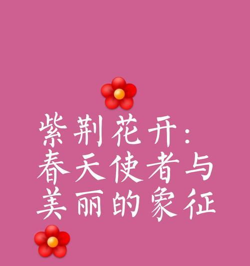 紫荆花象征着怎样的爱情？紫荆花的爱情寓意是什么？